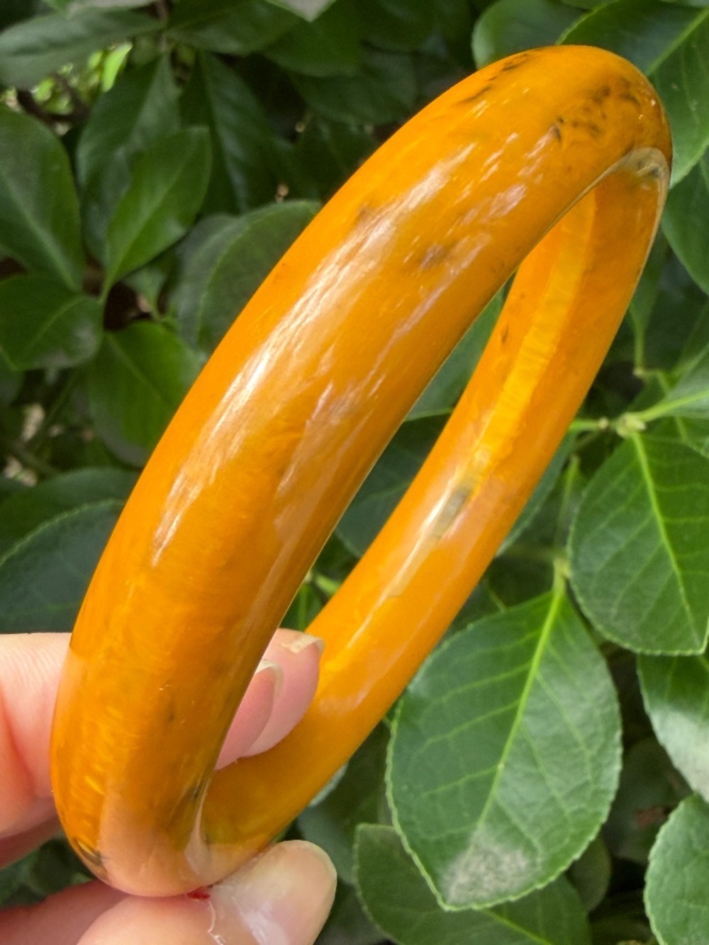 VINTAGE BUTTERSCOTCH/EGG YOLK BAKELITE ROUND DONUT BANGLE BRACELET